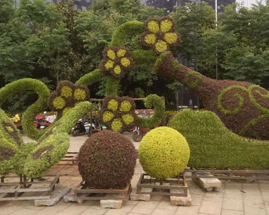 安徽大型绿雕造型公司